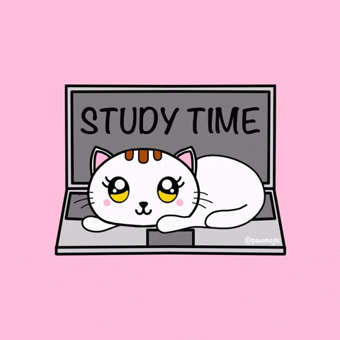 Cat On Computer Study Time Animation GIF
