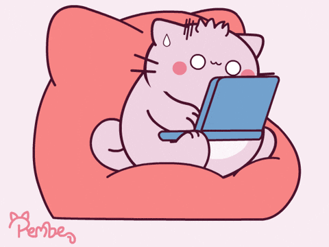Cat On Computer Typing On Couch GIF