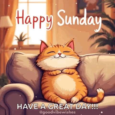 Cat On Couch Happy Sunday Have A Great Day GIF