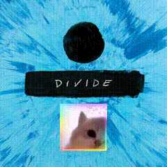 Cat on Divide Album Cover
