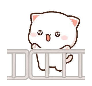 Cat on Fence