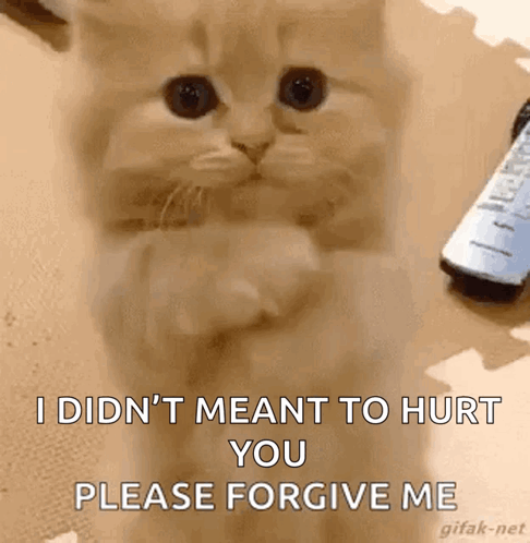 Cat on Hind Legs With Paws Crossed and Remote Control