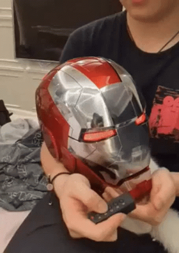 Cat On Iron Man Mask GIF