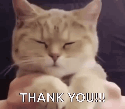 Cat On Lap Eyes Closed Thank You GIF