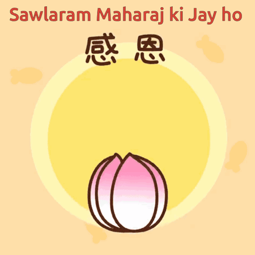 Cat on Lotus Flower Sawlaram Maharaj Ki Jay Ho