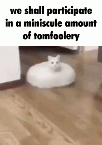Cat On Robot Vacuum Cleaner GIF
