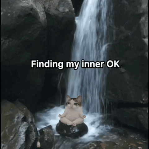 Cat on Rock Waterfall Finding My Inner Ok