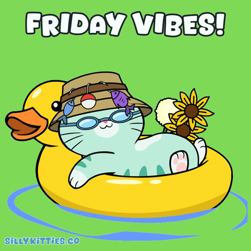 Cat On Rubber Duck Friday Vibes GIF