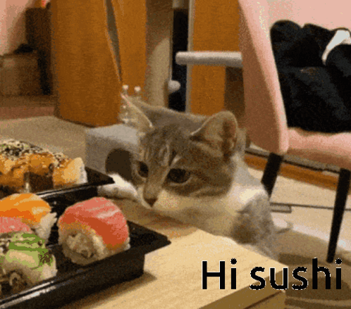 Cat On Table Next To Sushi Saying Hi Sushi GIF