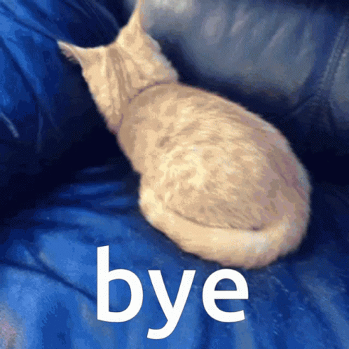 Cat On The Couch Bye Meme GIF