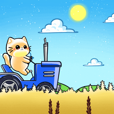 Cat On The Tractor GIF