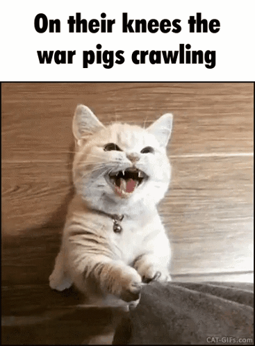Cat On Their Knees The War Pigs Crawling
