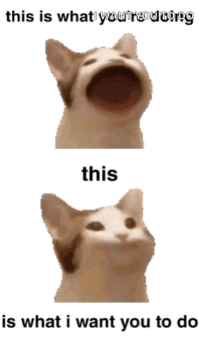 Cat Open Mouth This Is What I Want You To Do GIF