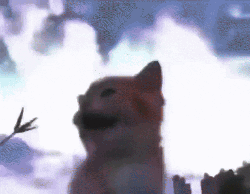 Cat Painting With Bird GIF