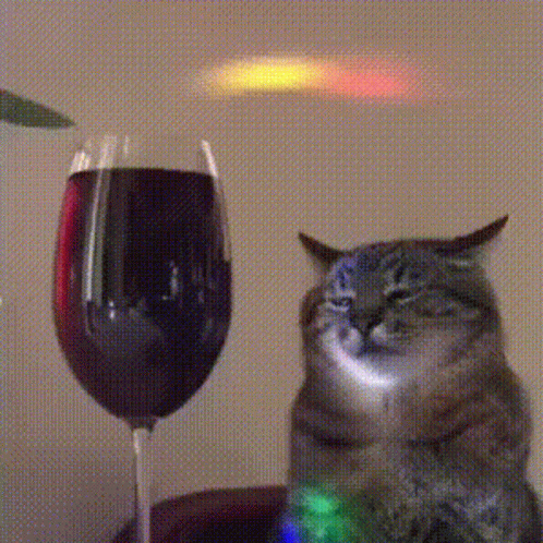 Cat Party Drunk Cat Red Wine GIF