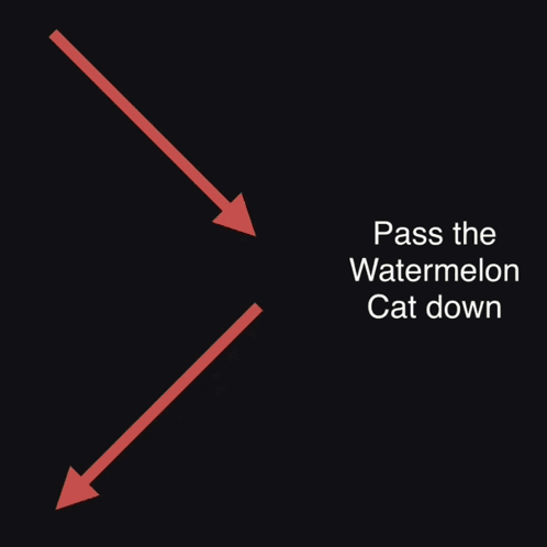 Cat Passing Watermelon GIF