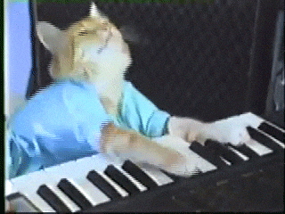 Cat Paws On Piano GIF