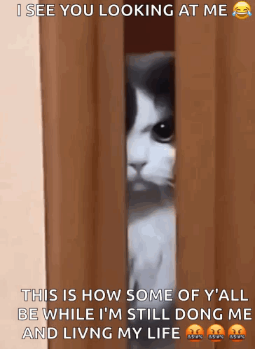Cat Peeking Door I See You Looking At Me