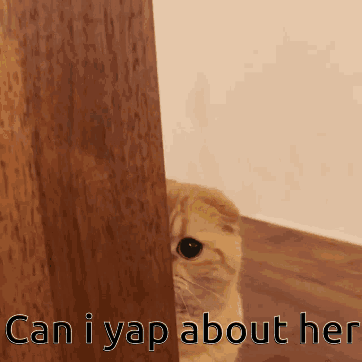 Cat Peeking From Behind Door Can I Yap About Her GIF