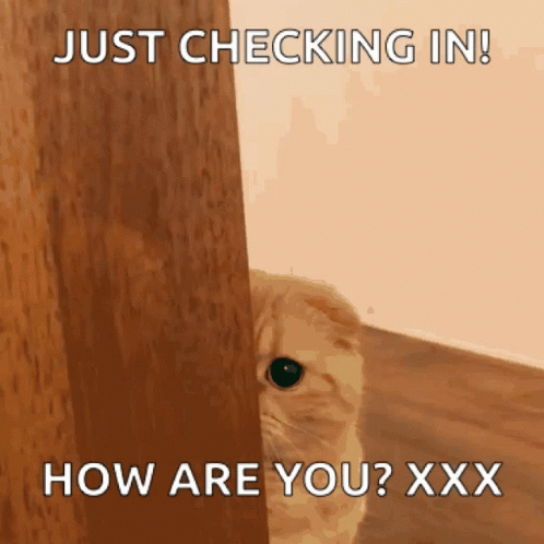 Cat Peeking From Behind Door Saying Just Checking In