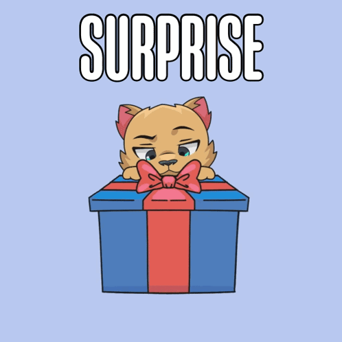 Cat Peeking From Blue Gift Box Surprise GIF