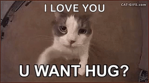 Cat Peeking From Box Saying I Love You U Want Hug