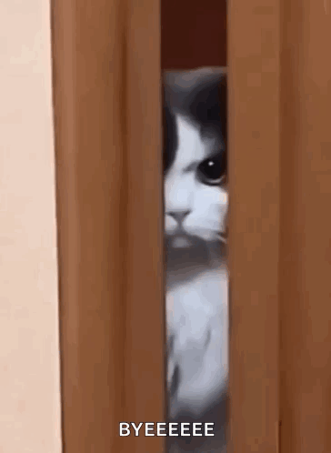 Cat Peeking From Door Saying Bye