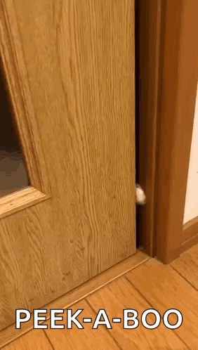 Cat Peeking From Wooden Door With Peek-A-Boo GIF