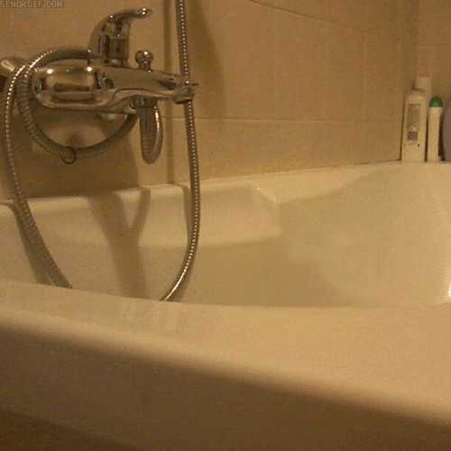 Cat Peeking In Bath Tub
