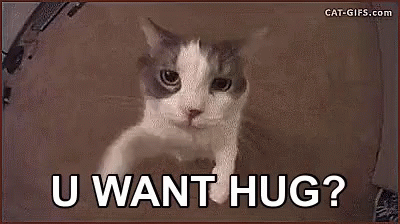 Cat Peeking Out of Box U Want Hug