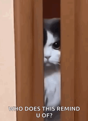 Cat Peeking Out of Wooden Door Asking Who