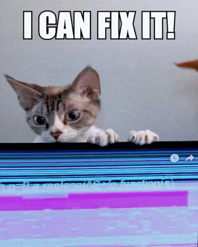 Cat Peeking Over Computer Screen Saying I Can Fix It