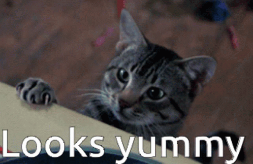 Cat Peeking Over Table Saying Looks Yummy