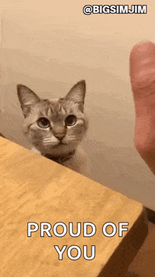 Cat Peeking Over Table GIF