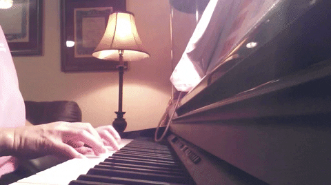 Cat Piano Joins Fur Mother GIF