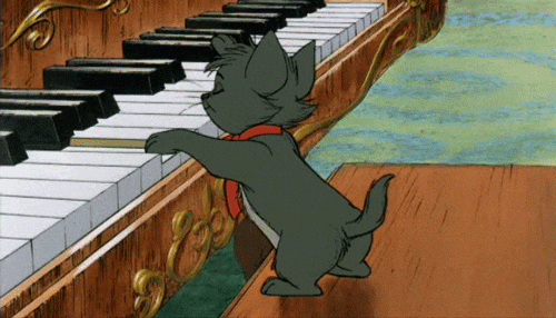 Cat Piano Kitten Trying To Play GIF