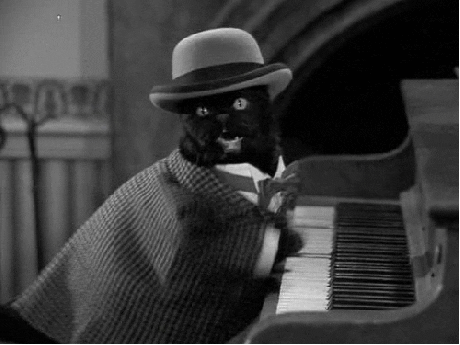 Cat Piano With Hat Plays GIF