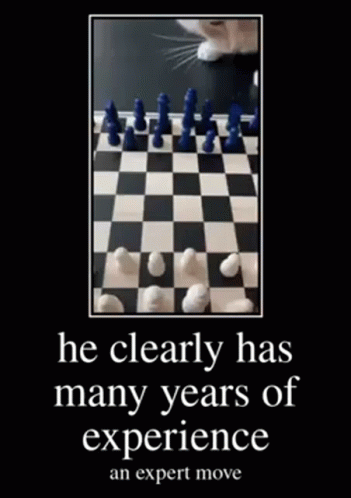 Cat Playing Chess Expert Move