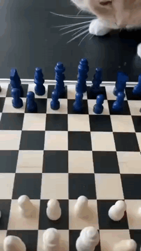 Cat Playing Chess