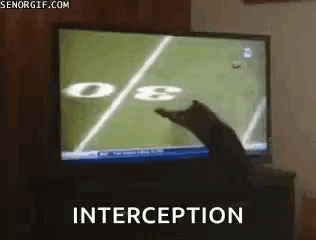Cat Playing Football Interception
