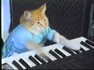 Cat Playing Melody On Piano GIF
