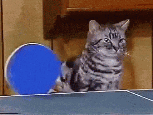 Cat Playing Ping Pong with Blue Racket