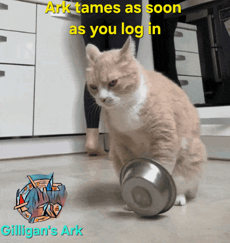 Cat Playing With Bowl Saying Ark Tames As Soon As You Log In