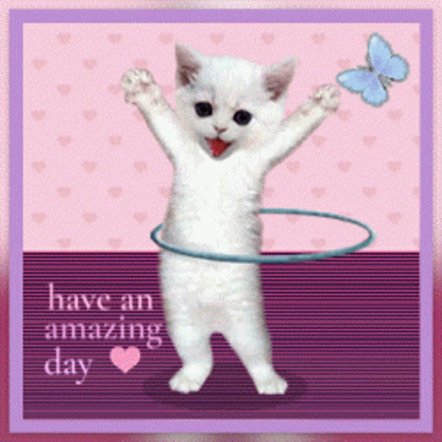 Cat Playing With Hula Hoop Saying Have An Amazing Day GIF