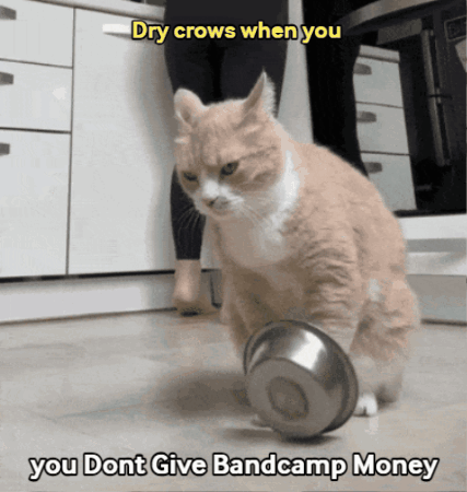 Cat Playing With Metal Bowl Saying Dry Crows When You Dont Give Bandcamp Money