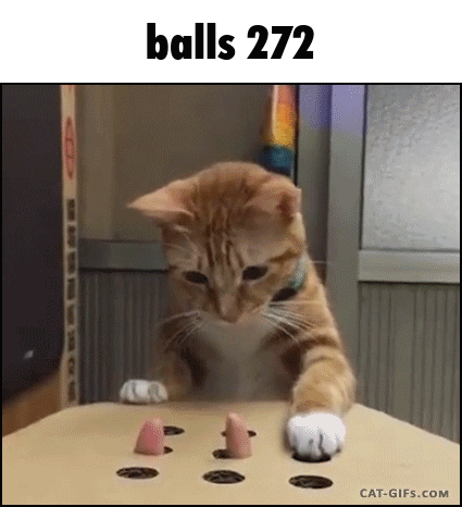 Cat Playing with Pizza Box Toy