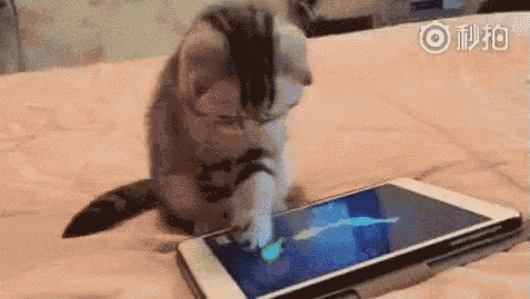 Cat Playing With Smartphone - Smartphone Gif GIF