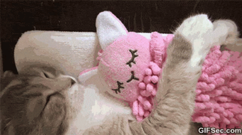 Cat Playing With Stuffed Sleeping Kitty