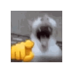 Cat Pointing at Camera with Yellow Fist