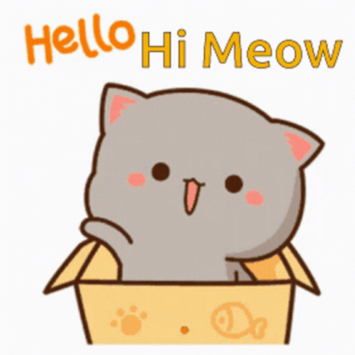 Cat Pops Up Hello Hi Meow GIF